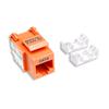INTELLINET Frutto Keystone RJ45 Cat.6 UTP non schermato Arancione