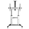 TECHLY Supporto mobile da pavimento per TV Ultra larghe 60-100''