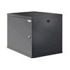 TECHLY PROFESSIONAL Armadio Rack 19'' a muro 10U sezione unica P 600mm Porta Cieca Nero