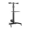 TECHLY Trolley da Pavimento con Mensola e Porta PC per 2 TV LCD/LED/Plasma 13-32''