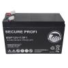 BAREN Batteria Piombo-Acido per UPS 12V 6,8 Ah, BSP12V-7.0F1