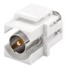 GOOBAY Modulo Keystone SAT Antenna Montaggio ad Incasso Coassiale M