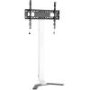 TECHLY Supporto da Pavimento Super Slim per TV LCD/LED/Plasma da 32'' a 70''