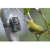 TECHNAXX Camera Wild 1080P 12MP IP56 PIR IR 18m per Osservazione Fauna, TX-117