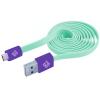 BLUEDIAMOND TO GO Cavo Flat USB AM a Micro USB M 1m Verde Acqua / Viola