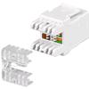 INTELLINET Frutto Keystone RJ45 C5E LSA UTP Bianco